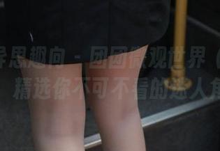 IESS异思趣向 - 团团微观世界（下）图集：精选你不可不看的迷人角落